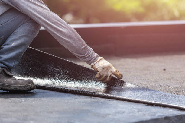 Professional Interior Drainage System technician working in Clayton, NC